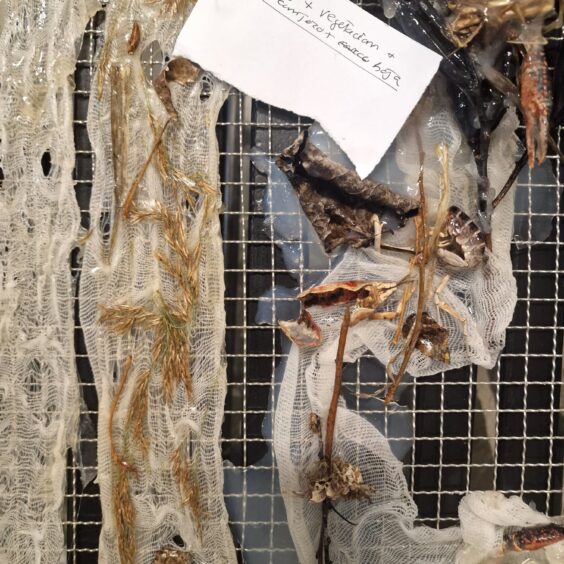 Criar Malvas. Laboratorio de biomateriales, vestimenta y muerte